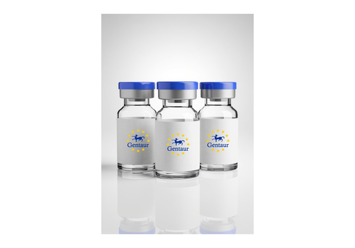 [GEN-HEAL-40V] Seamless Cloning by HEAL